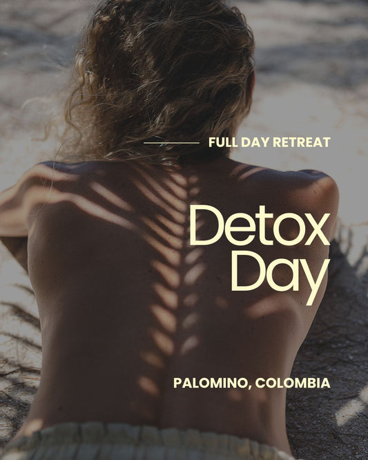 Día de desintoxicación