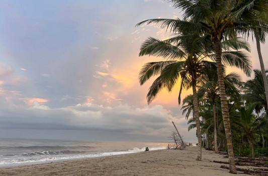 Is Palomino Safe for Families with Kids?