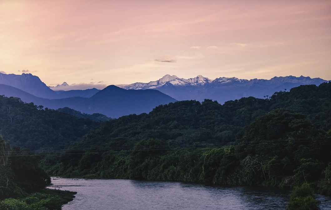 Why Palomino Is Becoming a Conscious Living Hub