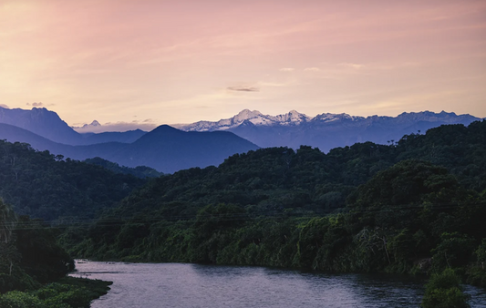 Why Palomino Is Becoming a Conscious Living Hub