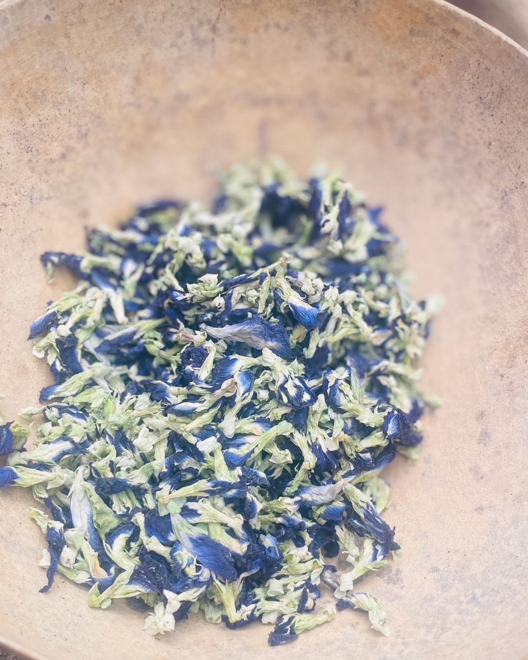 Atashi – Infusión de Clitórea cultivada por Koguis en la Sierra Nevada