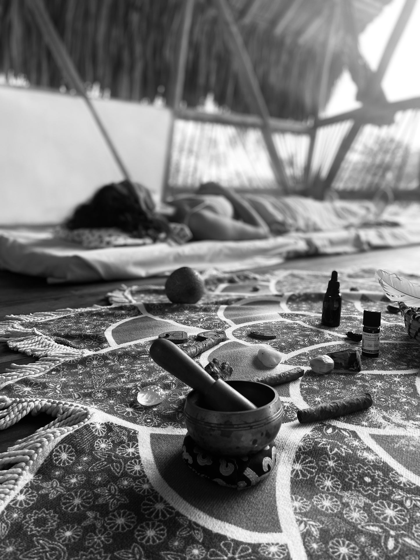 Sesión de Psilocibina Terapéutica y Meditación Profunda